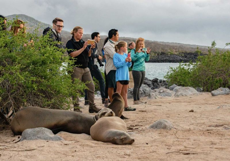 Galapagos excellent alternative for wildlife experience
